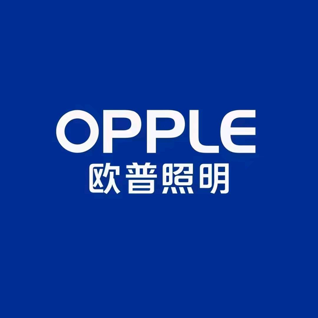 OPPLE欧普照明山阳店