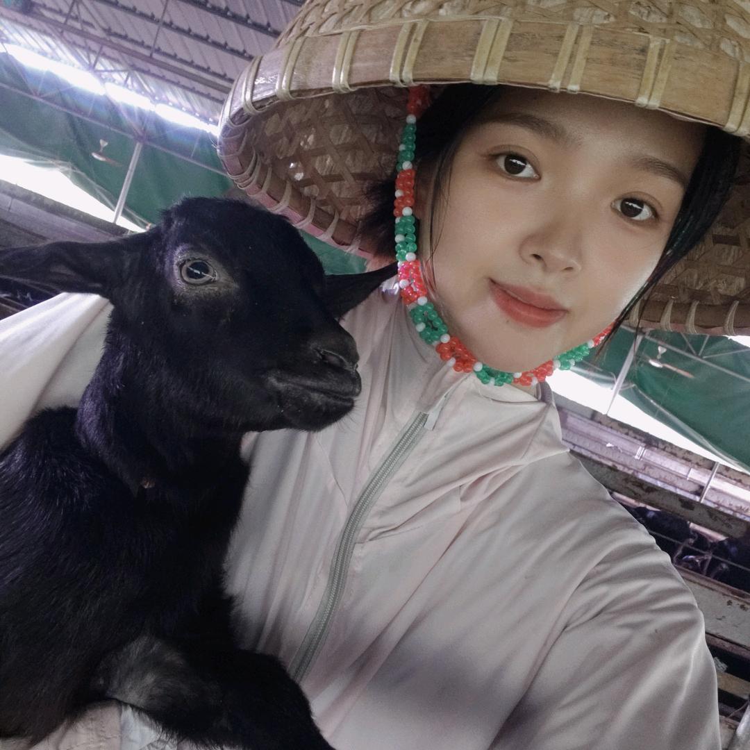 她的小红和小粉