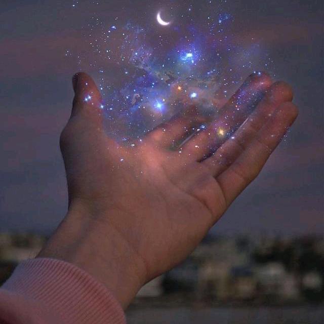 会仙桥银网花市