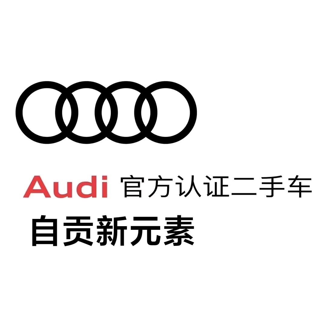 自贡新元素奥迪二手车