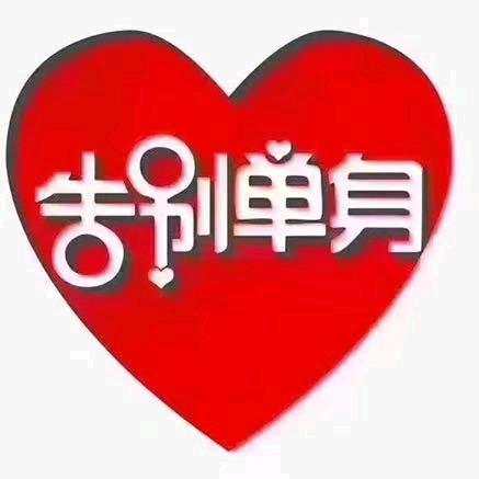 闪婚红娘