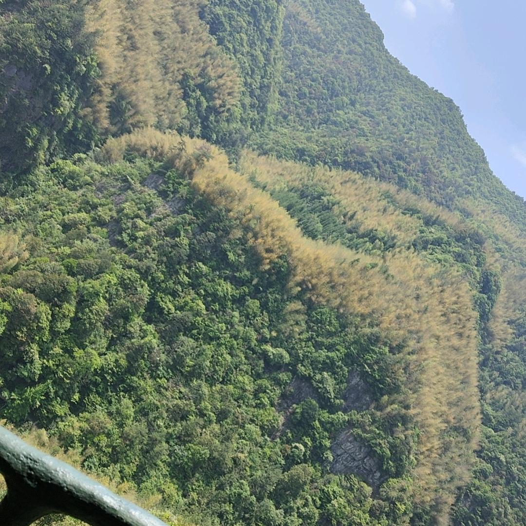 阿美