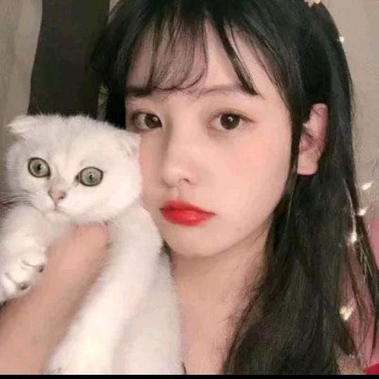 汤圆甄选百货