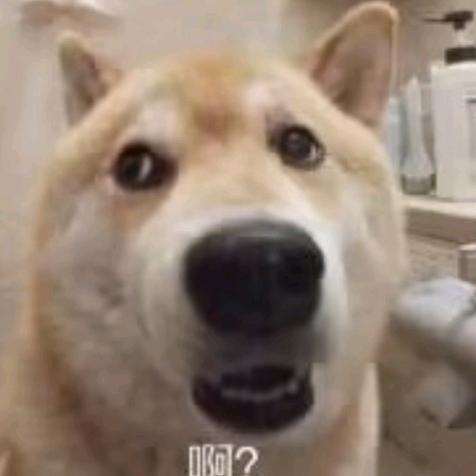 谢此驻人间