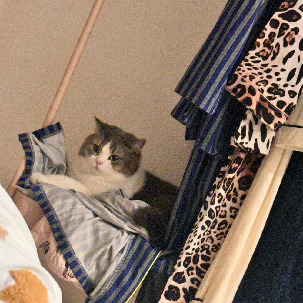 白巧克力马天尼