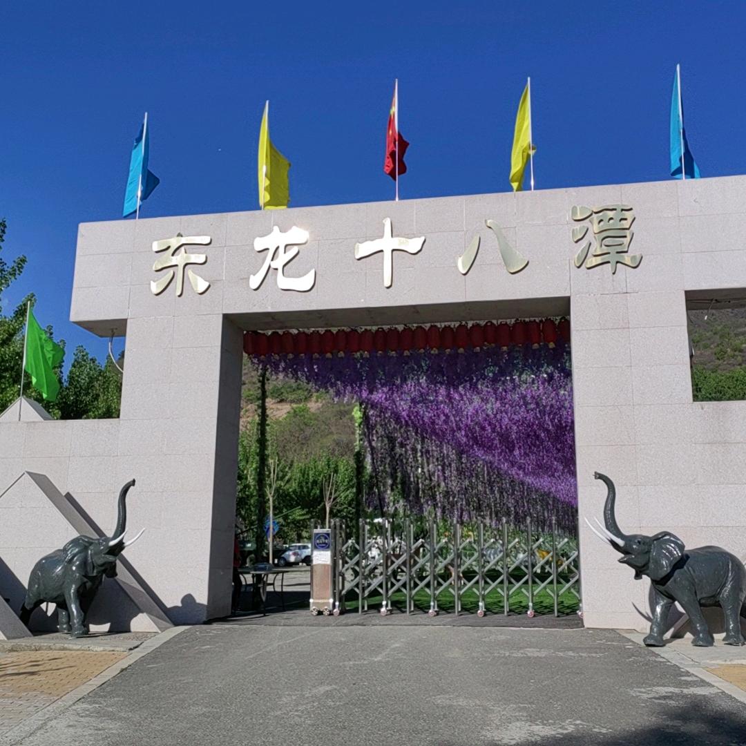 五谷膳食健康营