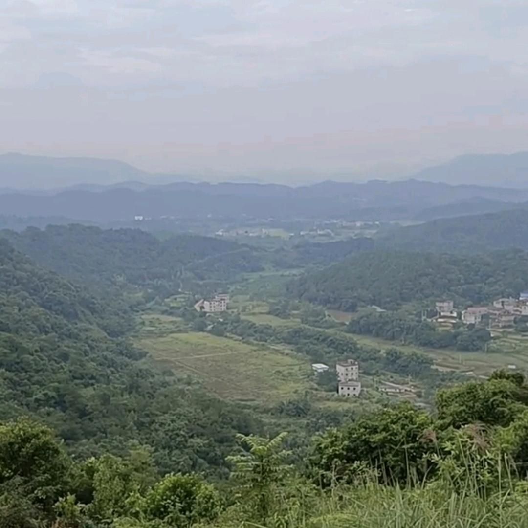 朝聚堂