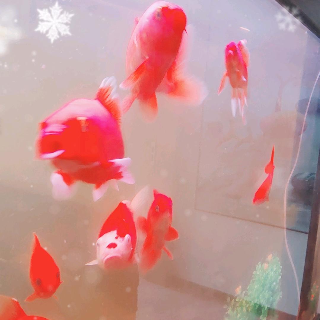 蜗牛不恋高速路