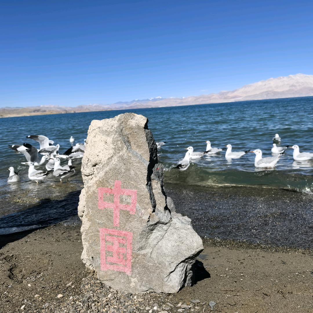 肿瘤经方方略