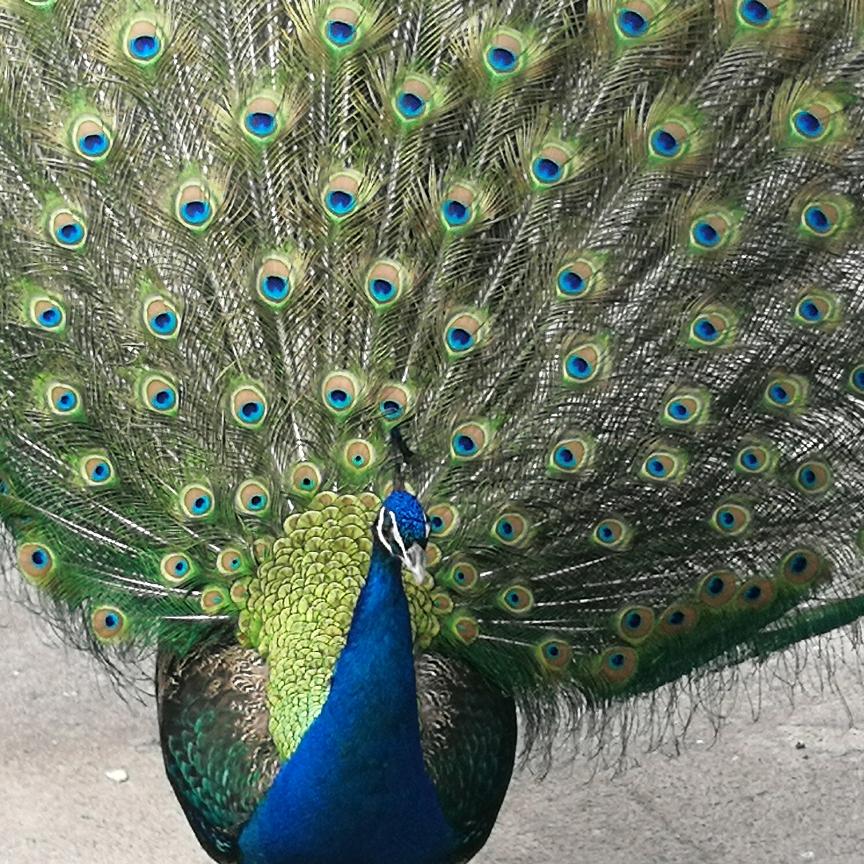 用户5413253347677春暖花开。