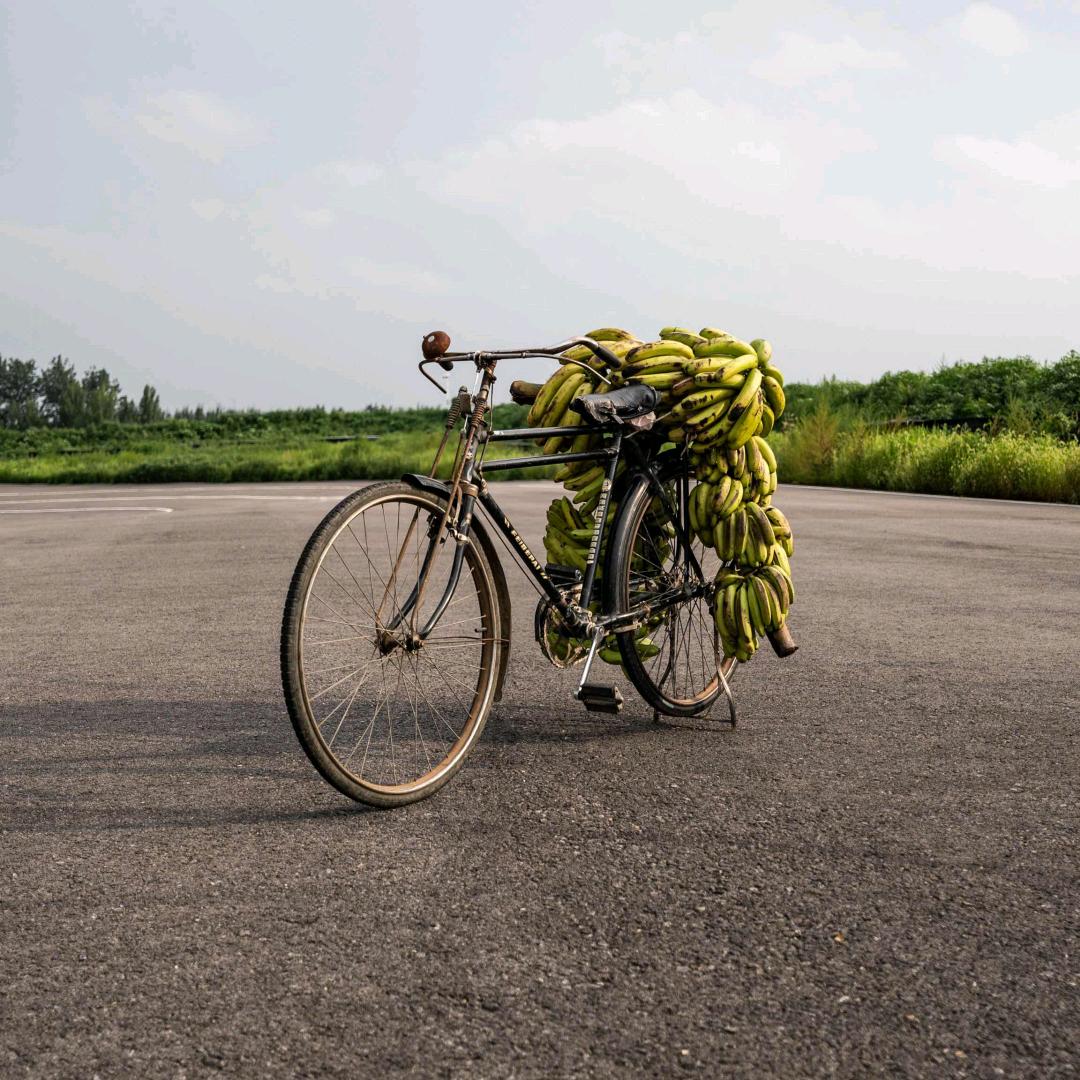邻居家的游戏机