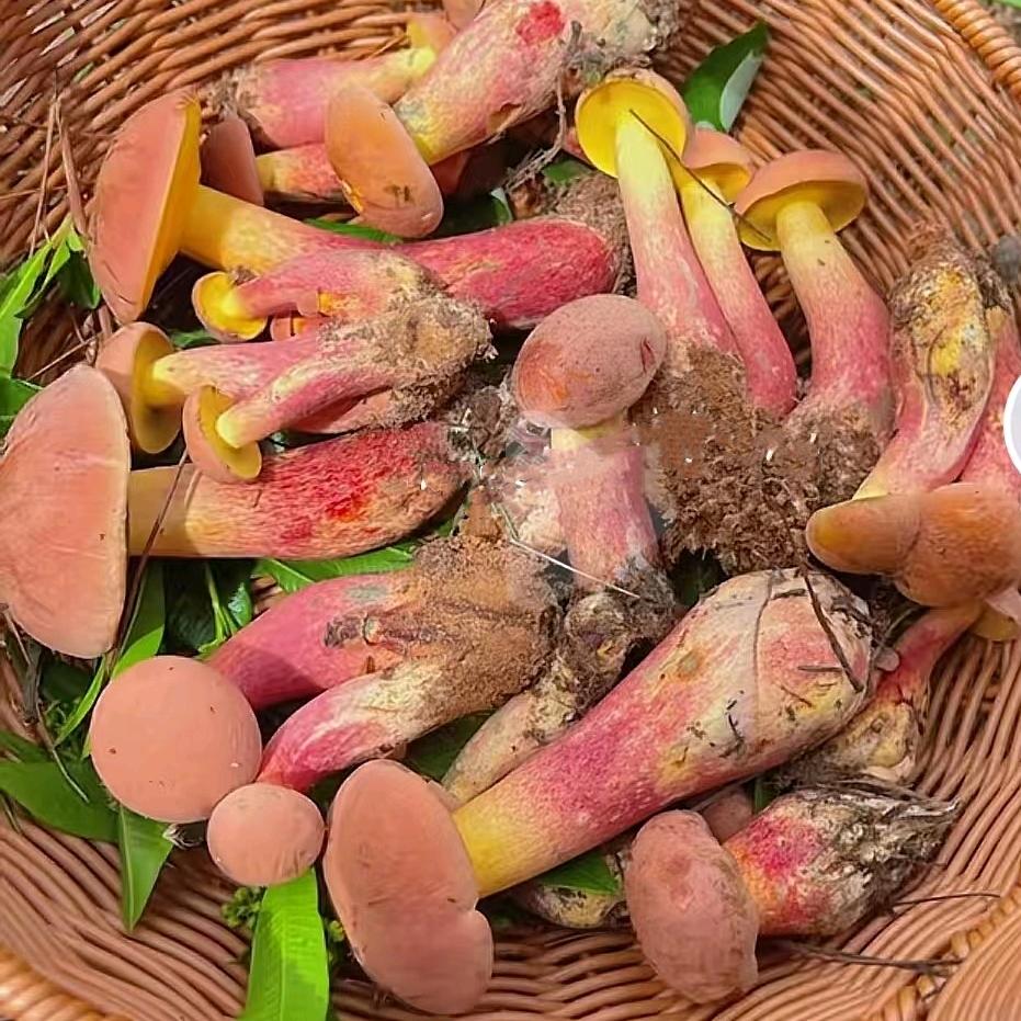 果香牧农产品店