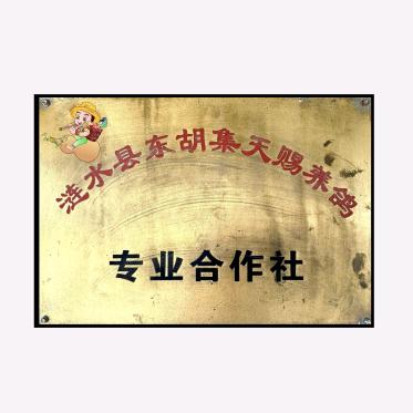江苏涟水县天赐鸽业