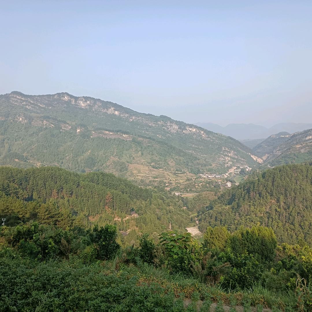 肖可應