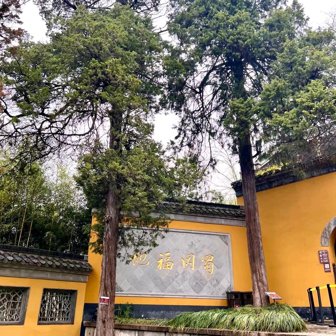 A_迷了路的鹿🦌