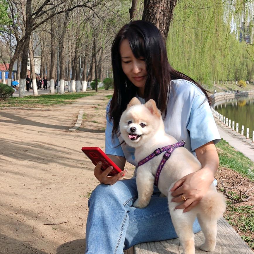 梦
