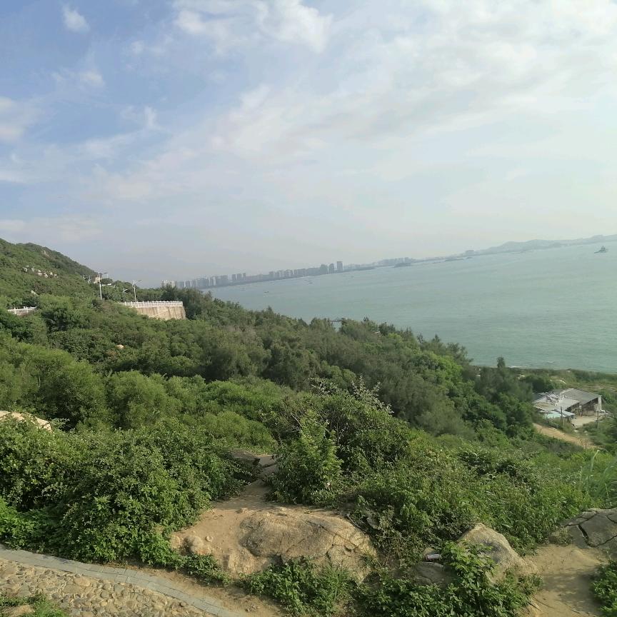 赣州小温绿化杆