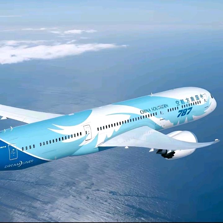 星叶787CACC