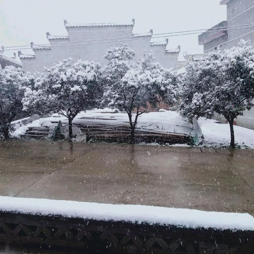 @刘宇