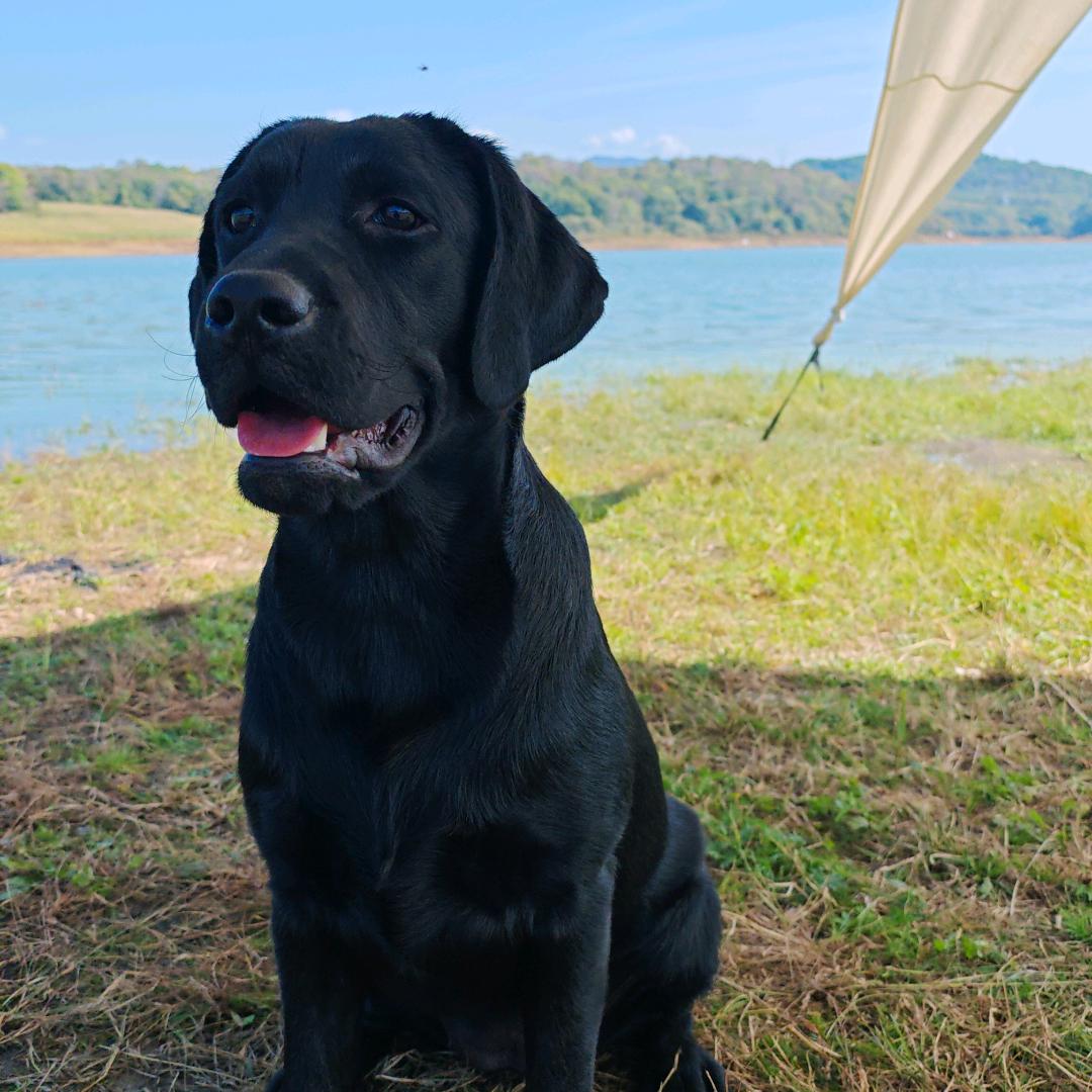 🍏平安是福🍏