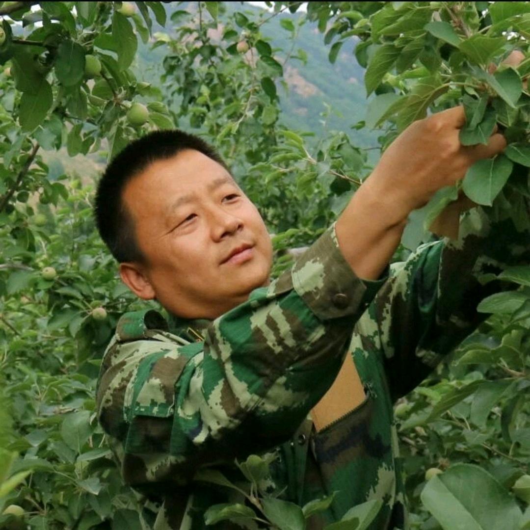 长兴岛