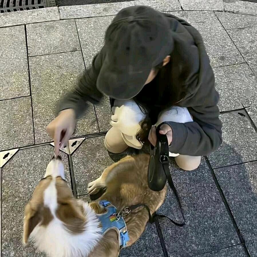 塞🐟不是🐟