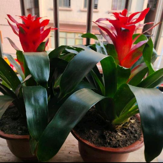 不要迷恋姐👩‍🦰🌸🌸