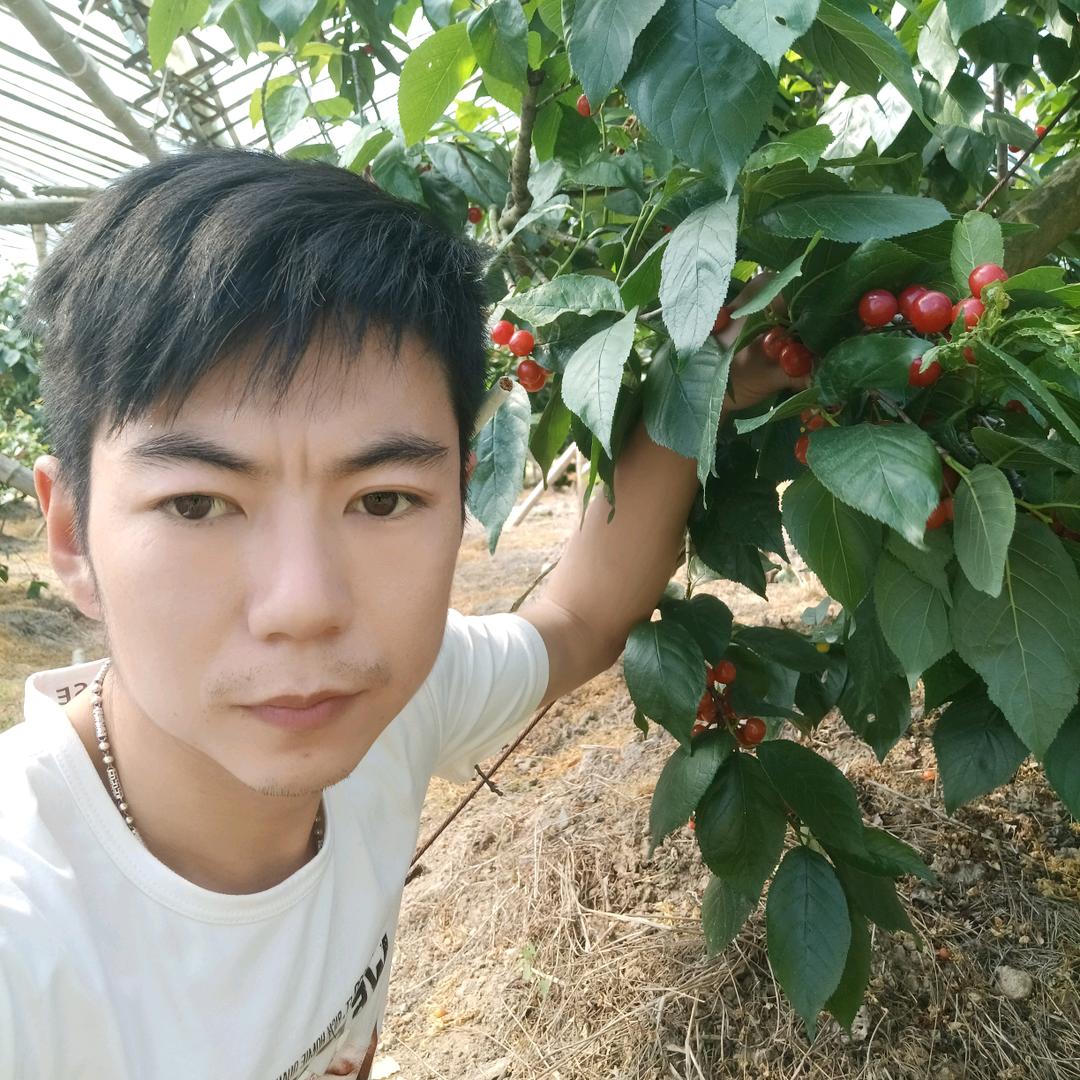 ✺◟(∗❛ั王少❛ั∗)◞✺