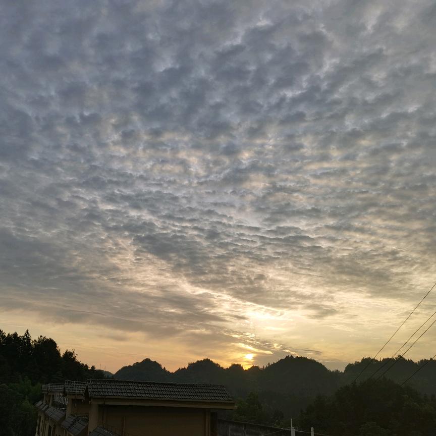 酒酒