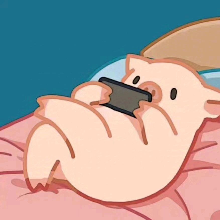 小猪漫谈