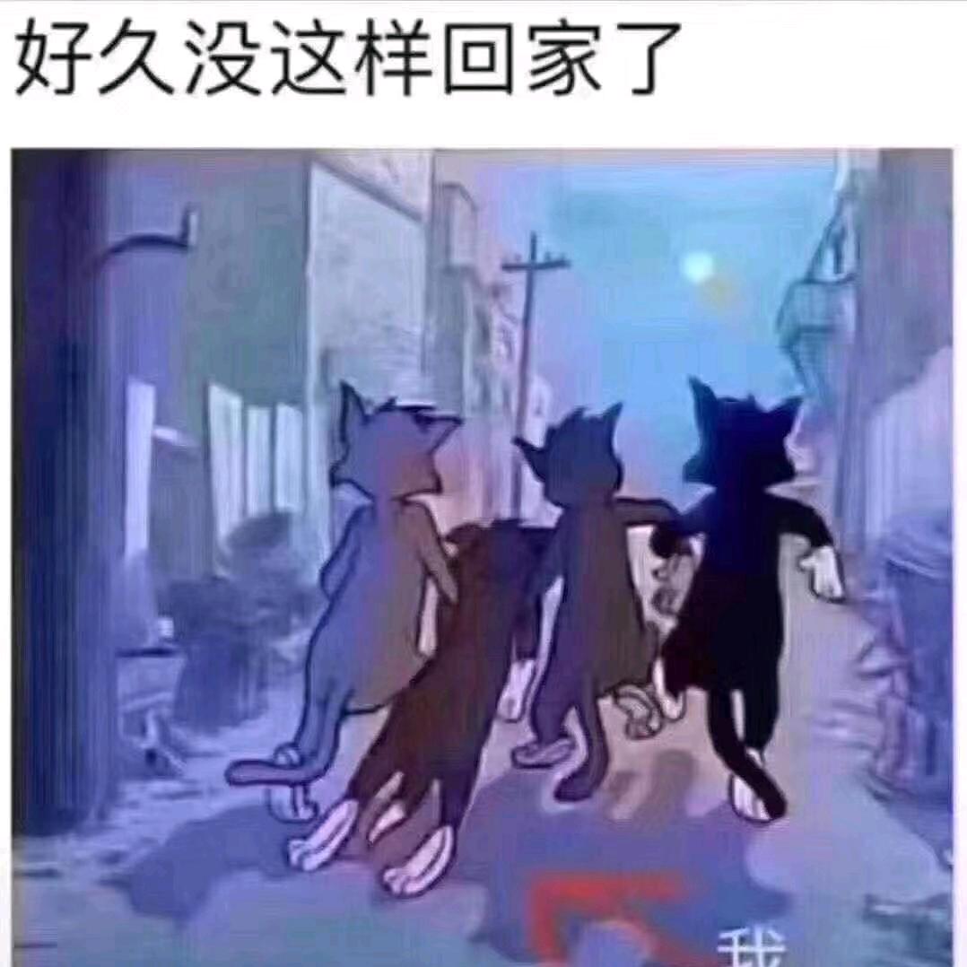 @ঞ᭄淡然꧔ꦿ࿐: