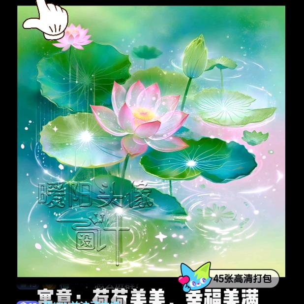 独守::美丽