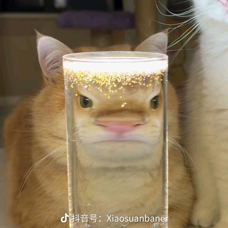 彦舟