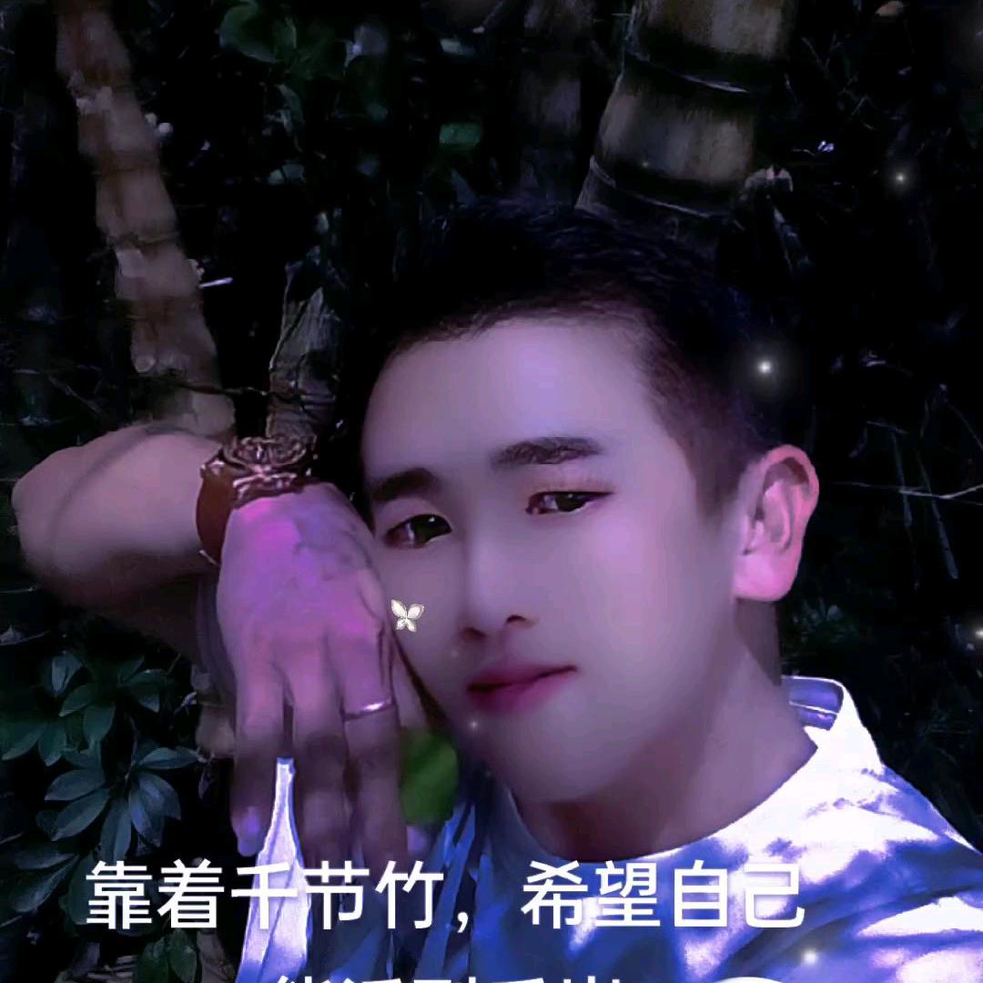 盛辉林业信息服务