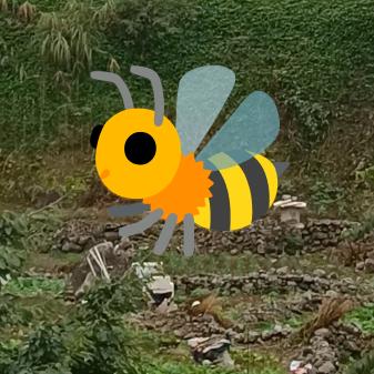蜂哥土养分享