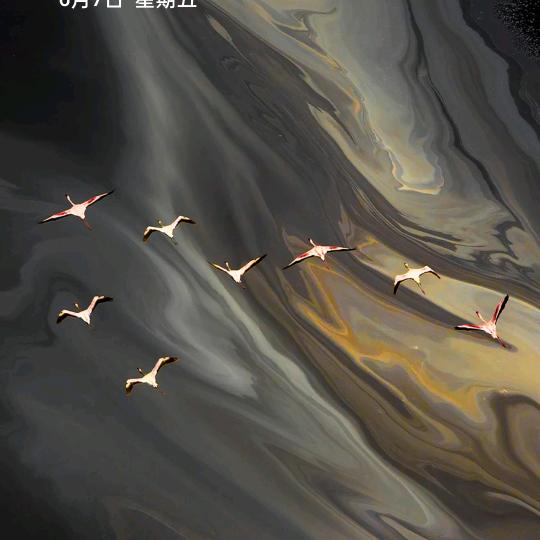 爱就大声说出来