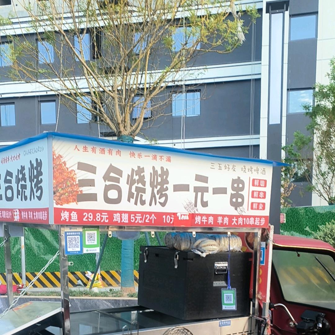 挣🍼奶粉钱《三合一元烧烤》