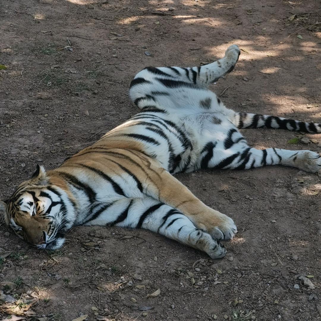 深圳跑神州-阿豪