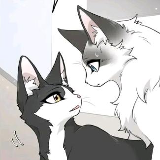 金眼猫猫蛊（无雷，鬼船没带）