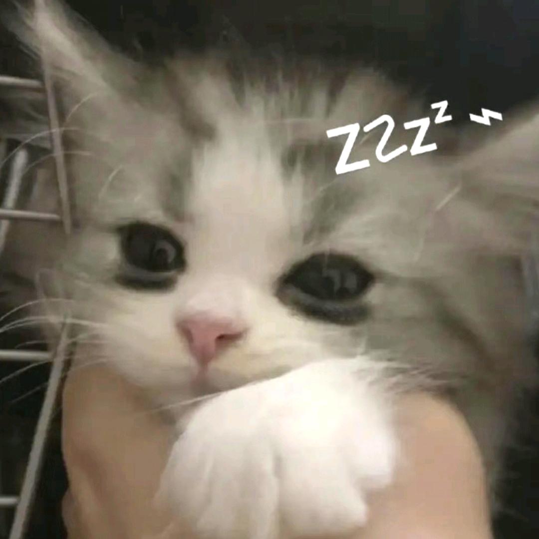 ℒℐℰ𝒾𝓃 ℋℰℛএ᭄࿐