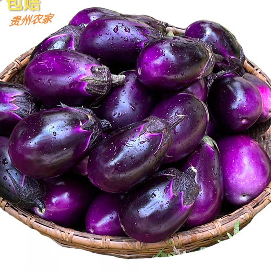 贵州金谷蔬菜