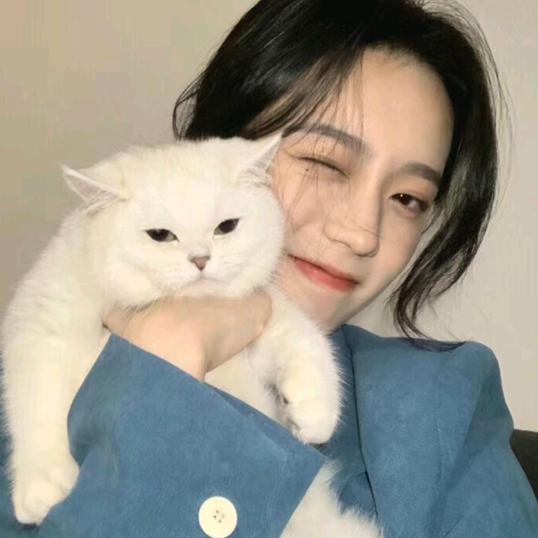 小付·