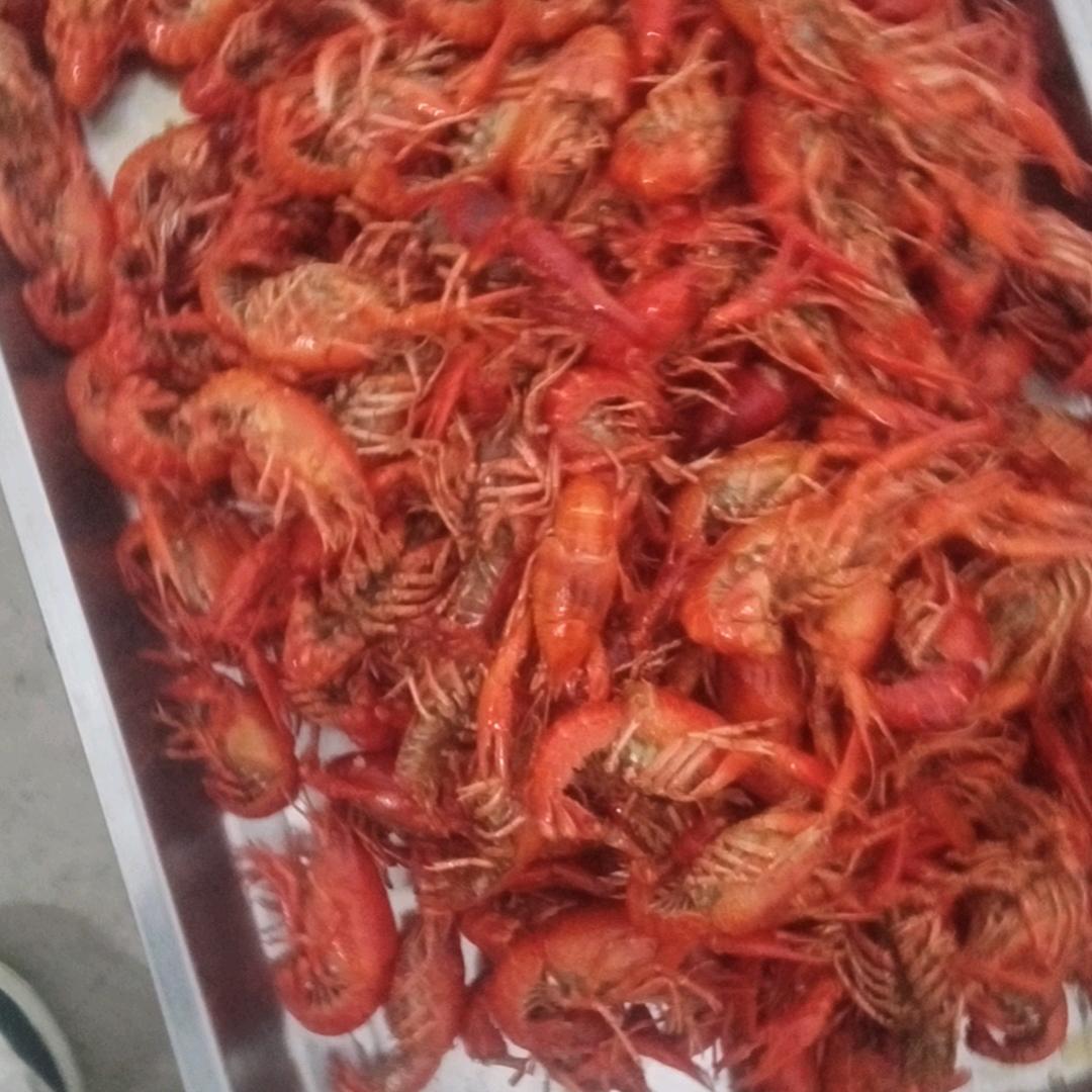 人生没有后悔药