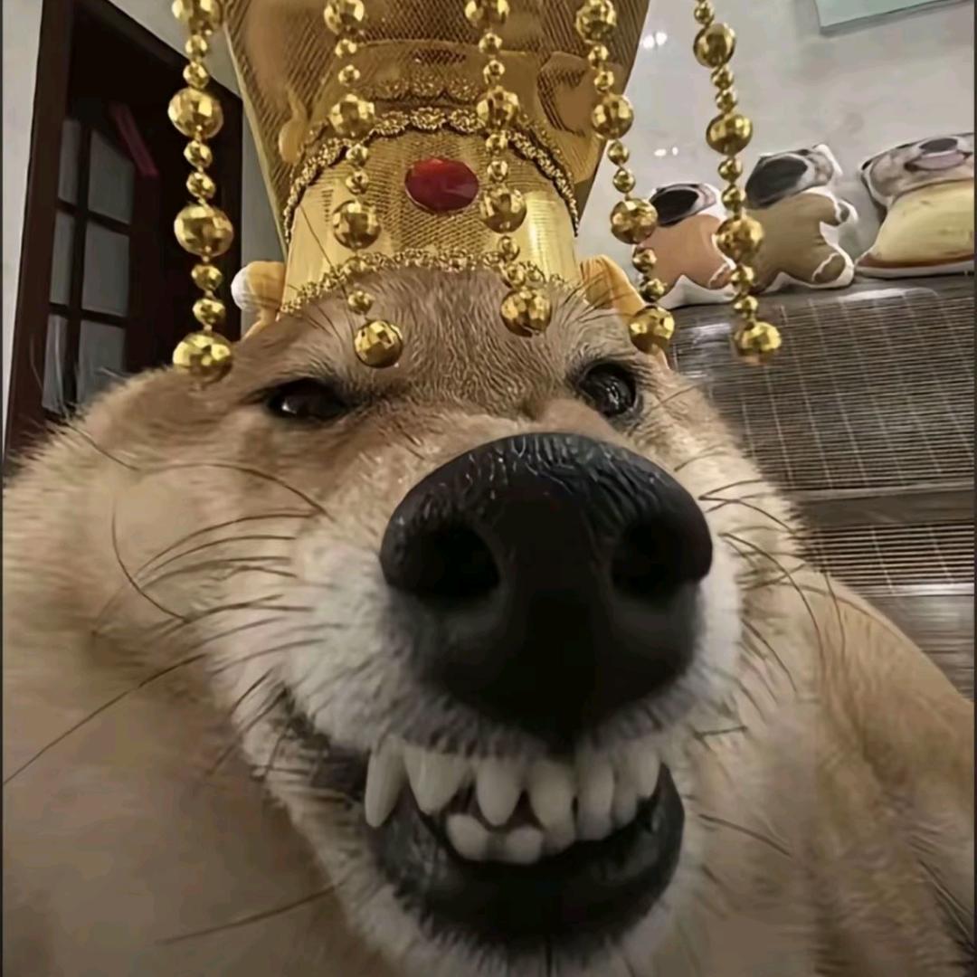 熊猫大王是也    （三角洲）