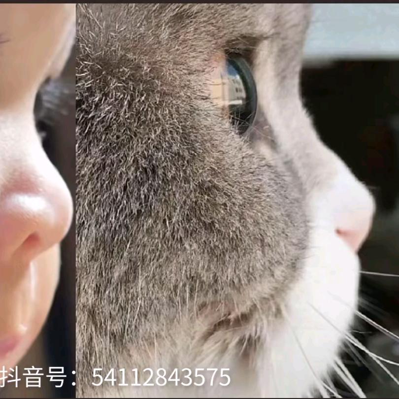 带你玩转呼和浩特