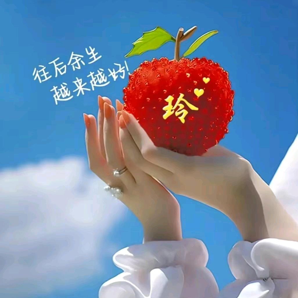 北方的雪，南方的雨