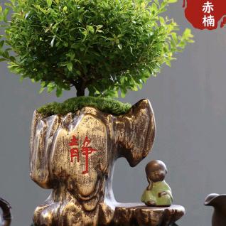 点金财商信息化