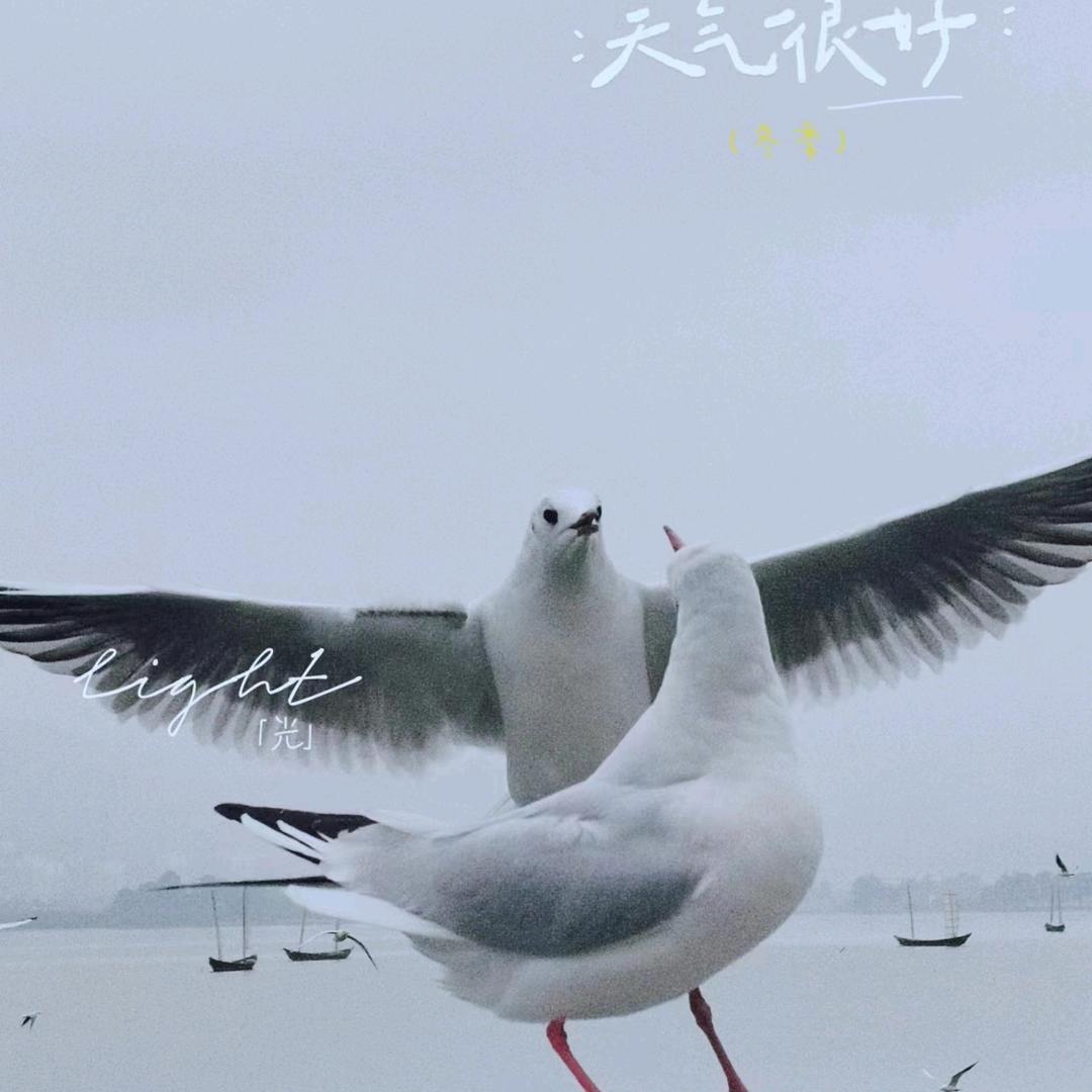 a 一生一世守护你
