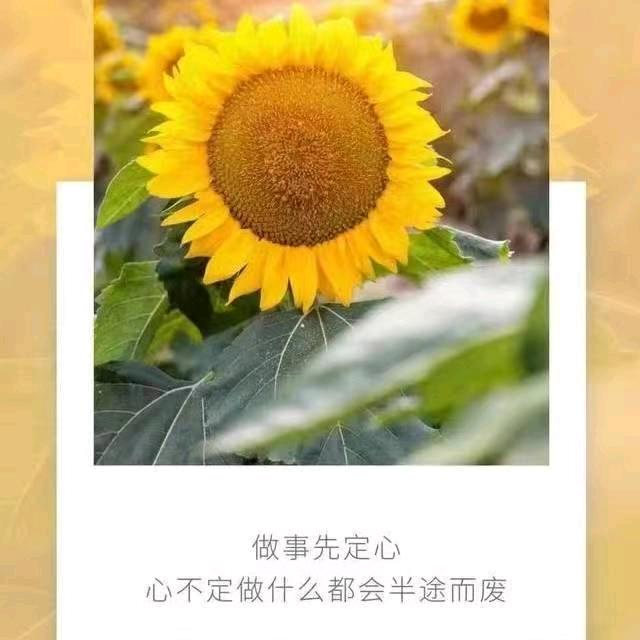 晚遇