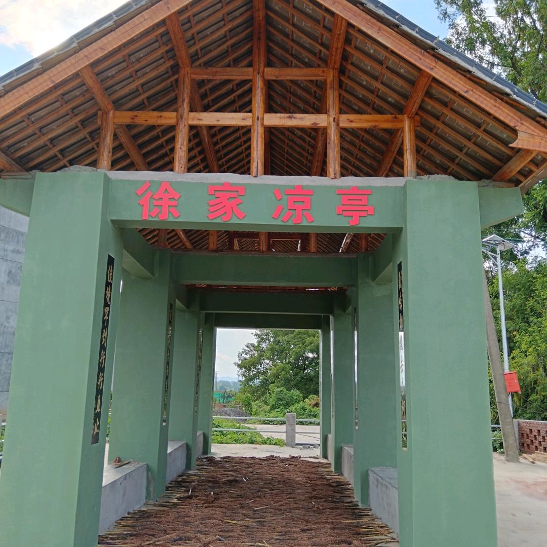 情有独钟